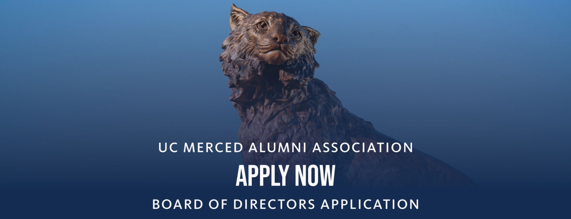 Statue of a bronze Bobcat looking outward with the text, "UC Merced Alumni Association Board of Directors Application, apply now" featured over a blue overlay.
